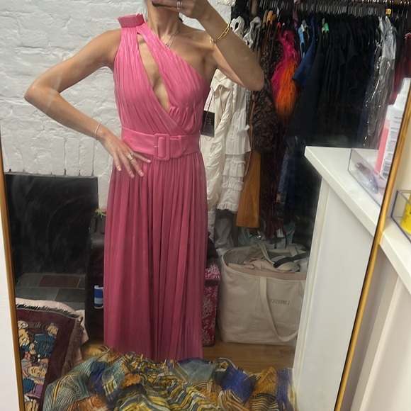 NWT Retrofete Andrea dress pink size XS - Picture 9 of 9